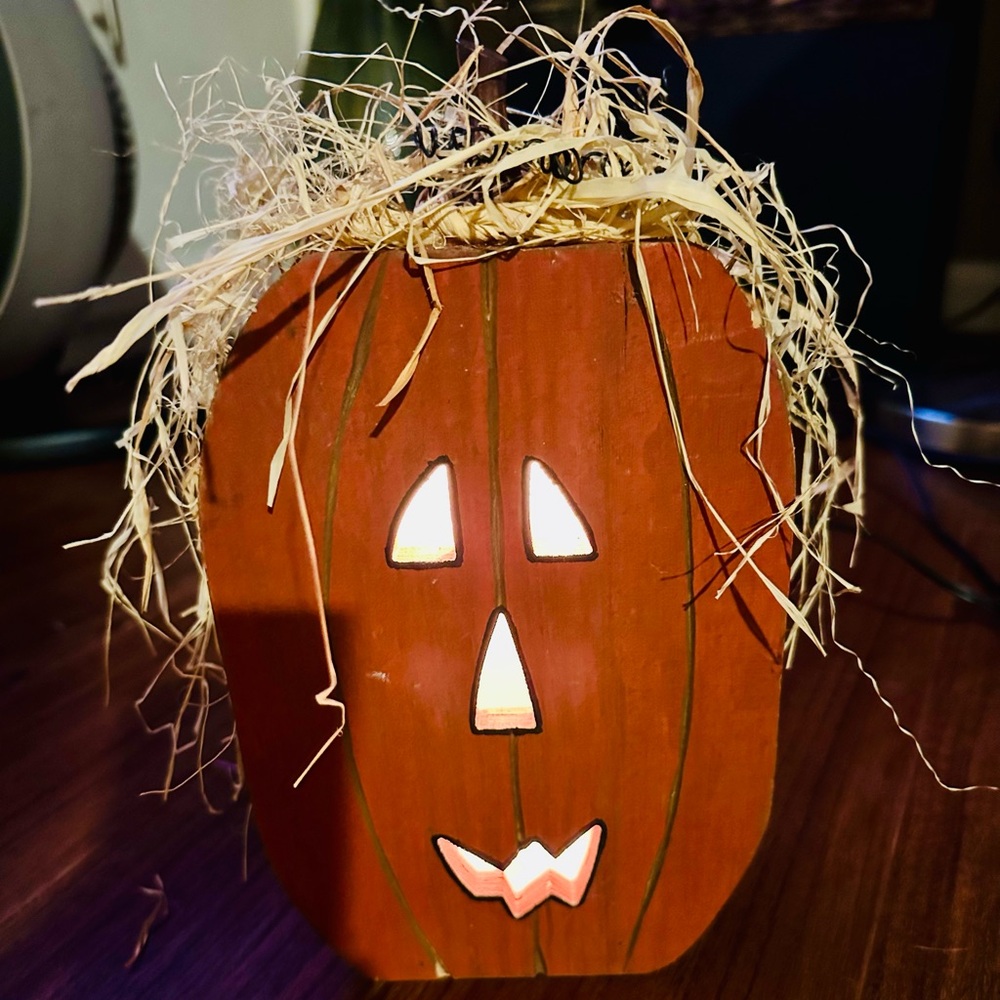 Plug in Pumpkin super cute 15.00